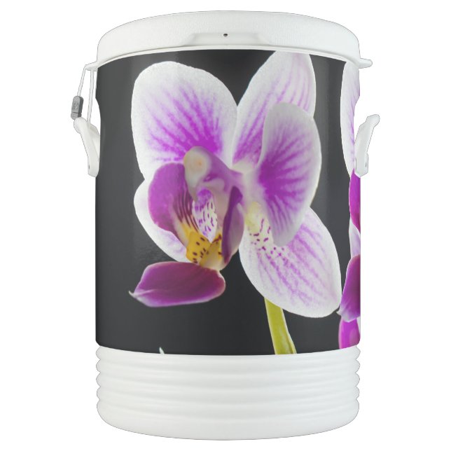 White and purple orchid beverage cooler (Back)