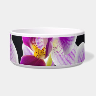White and purple orchid bowl