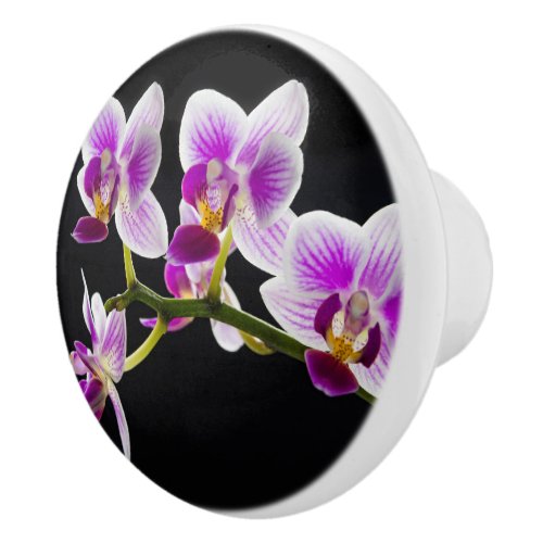 White and purple orchid ceramic knob