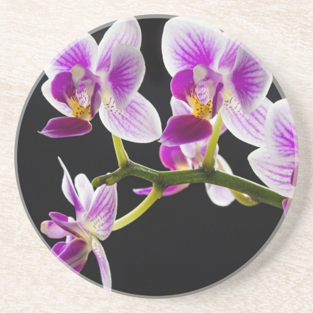 White and purple orchid coaster (Front)