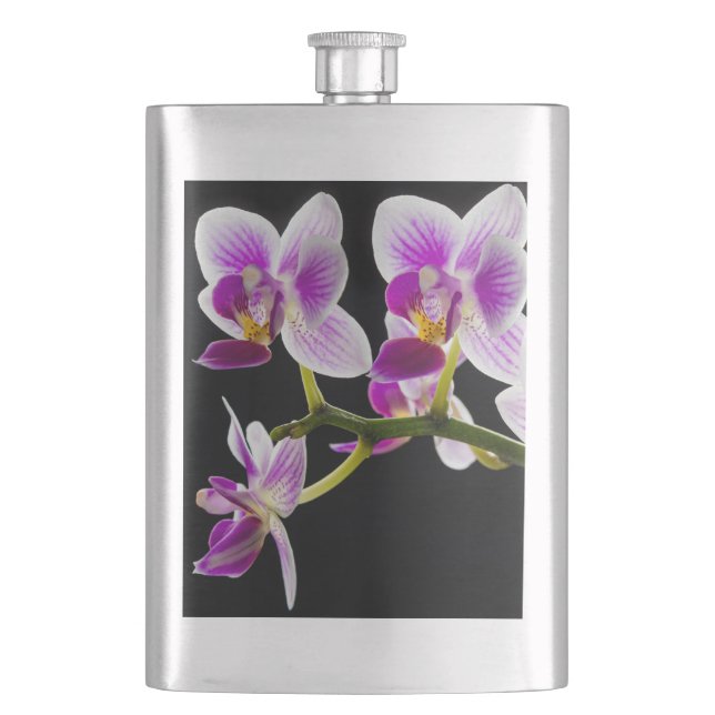 White and purple orchid flask (Front)