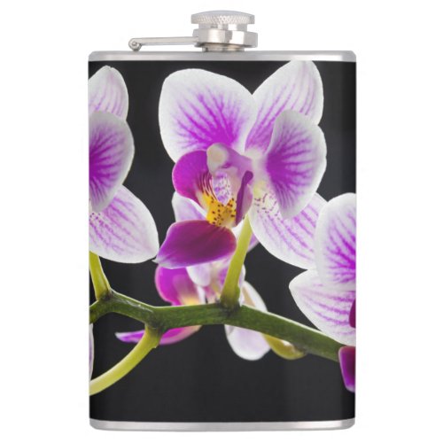 White and purple orchid flask