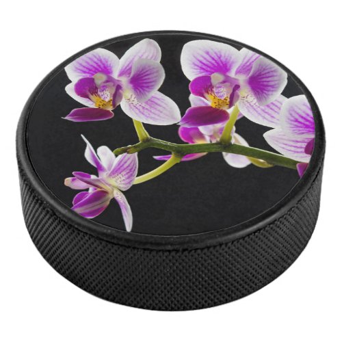 White and purple orchid hockey puck