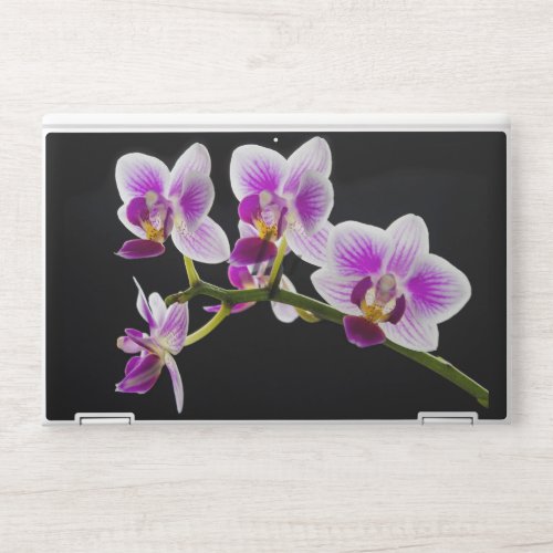 White and purple orchid HP laptop skin