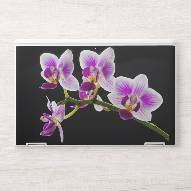 White and purple orchid HP laptop skin (Front)