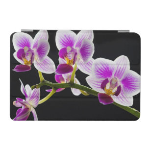 White and purple orchid iPad mini cover
