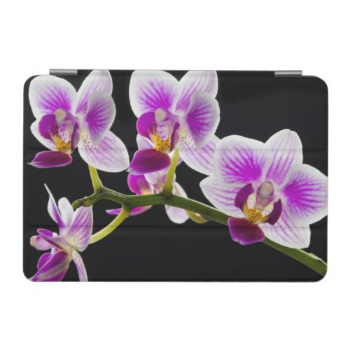 White and purple orchid iPad mini cover