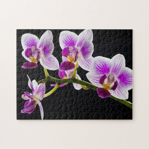 White and purple orchid jigsaw puzzle