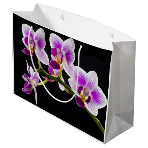 White and purple orchid large gift bag