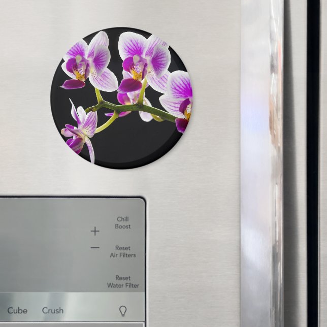 White and purple orchid magnet (In Situ (Fridge))