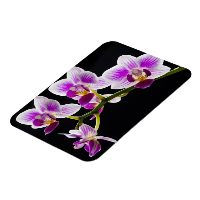 White and purple orchid magnet (Left Side)
