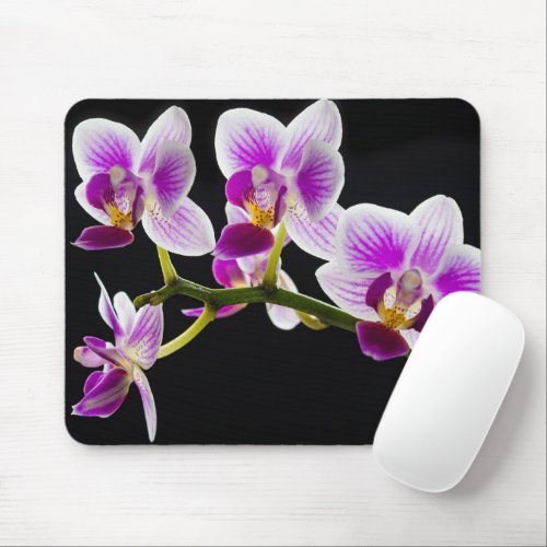 White and purple orchid mouse pad