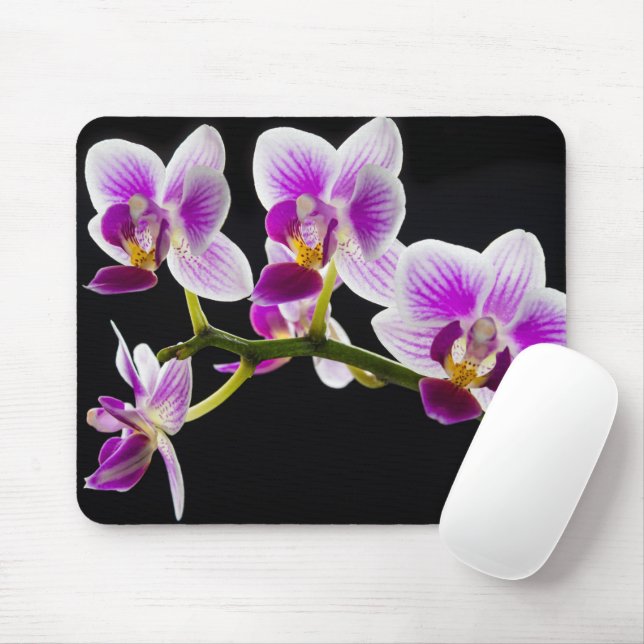 White and purple orchid mouse pad (With Mouse)