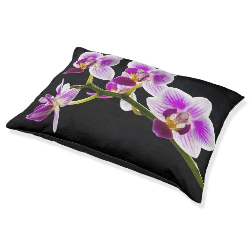 White and purple orchid pet bed