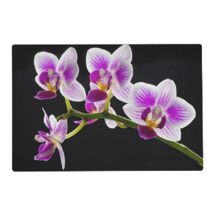 White and purple orchid placemat