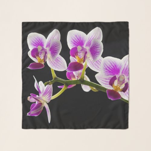 White and purple orchid scarf