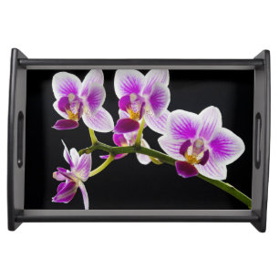 White and purple orchid serving tray