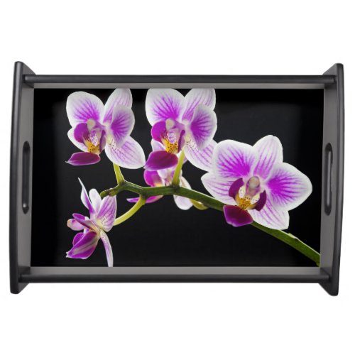 White and purple orchid serving tray