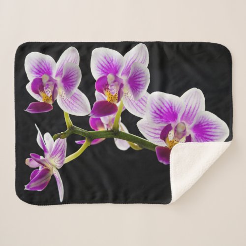 White and purple orchid sherpa blanket