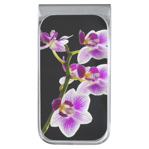 White and purple orchid silver finish money clip