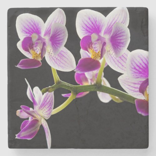 White and purple orchid stone coaster