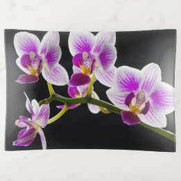 White and purple orchid trinket tray