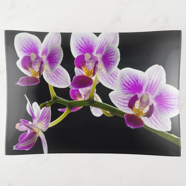 White and purple orchid trinket tray (Front)
