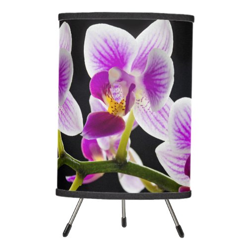White and purple orchid tripod lamp