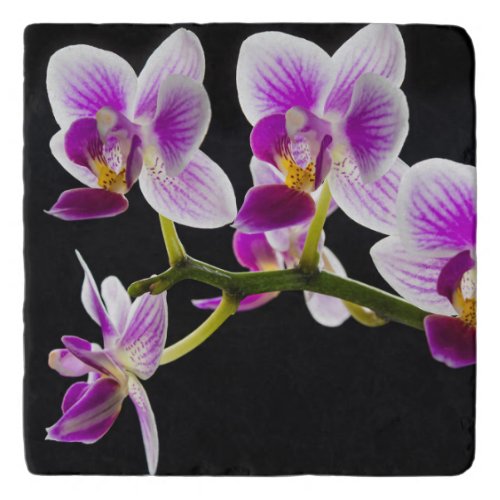 White and purple orchid trivet