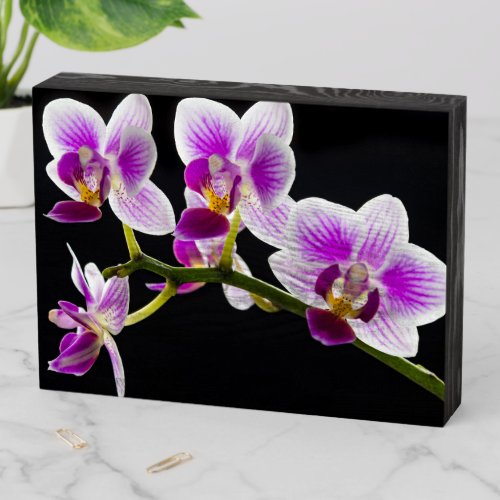 White and purple orchid wooden box sign