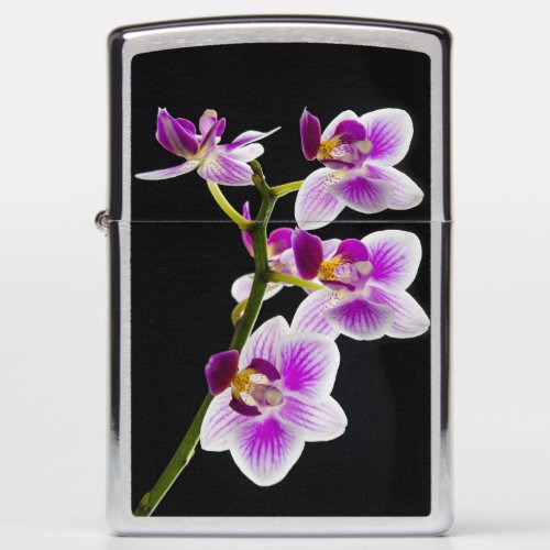 White and purple orchid zippo lighter
