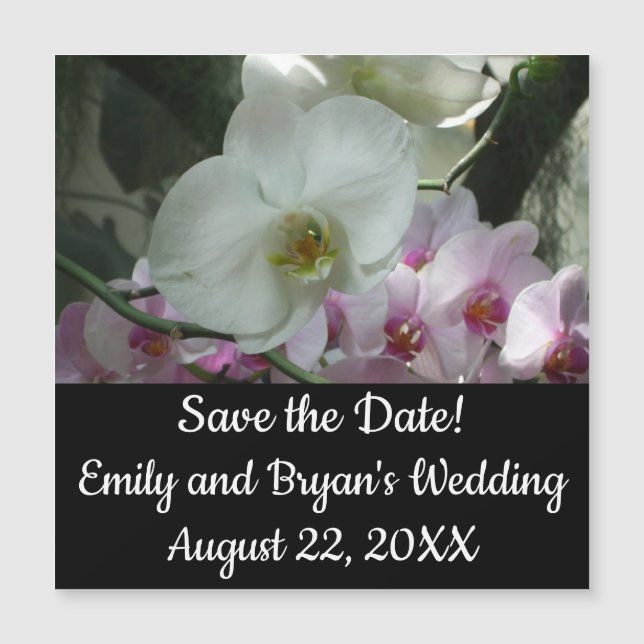 White and Purple Orchids (Front)