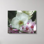 White and Purple Orchids Canvas Print