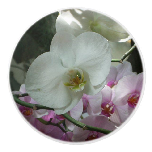 White and Purple Orchids Ceramic Knob (Front)