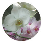 White and Purple Orchids Classic Round Sticker