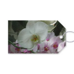 White and Purple Orchids Gift Tags