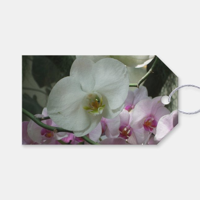 White and Purple Orchids Gift Tags (Front (Horizontal))