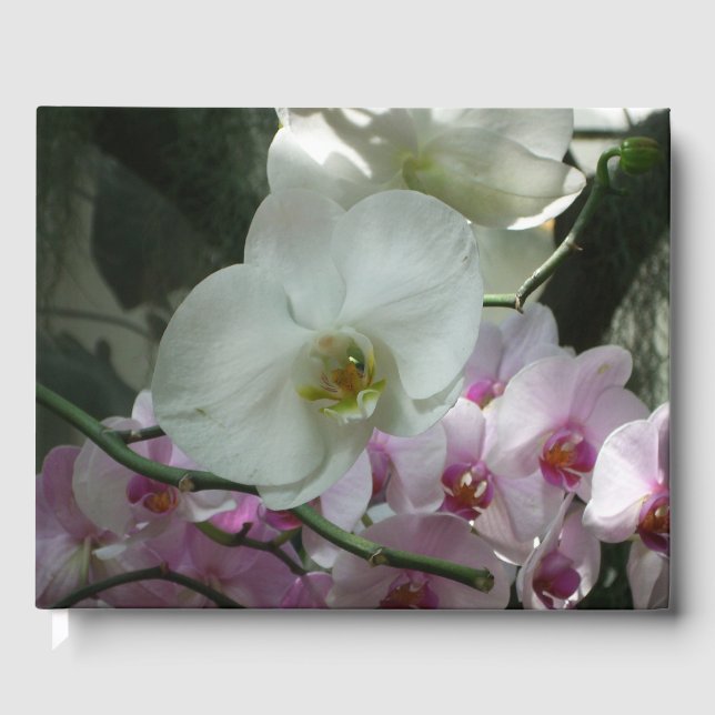 White and Purple Orchids Guest Book (Front)