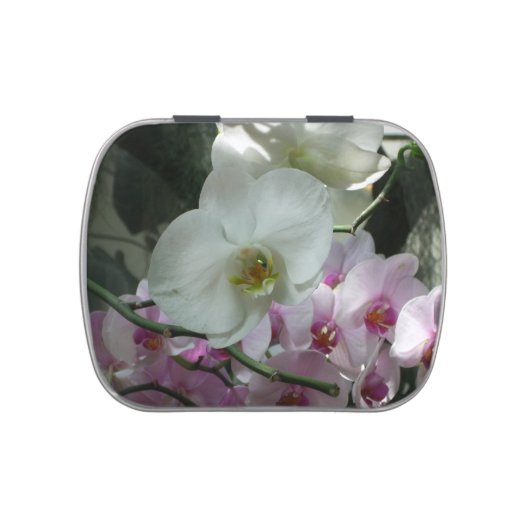 White and Purple Orchids Jelly Belly Candy Tin (Top)
