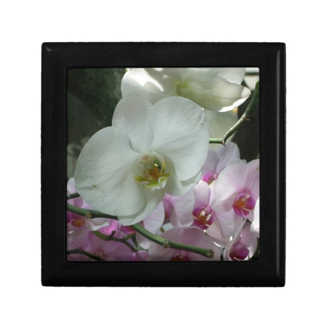 White and Purple Orchids Jewelry Box (Front)
