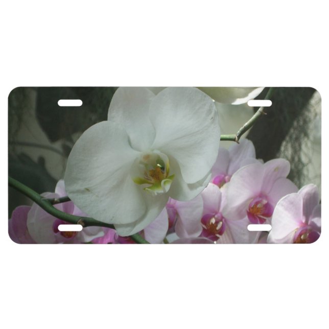 White and Purple Orchids License Plate (Front)