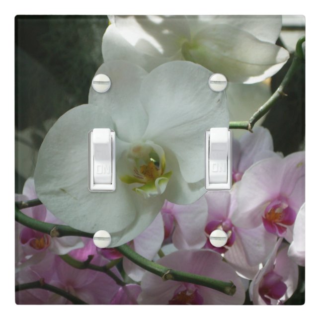White and Purple Orchids Light Switch Cover (In Situ)