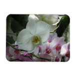 White and Purple Orchids Magnet