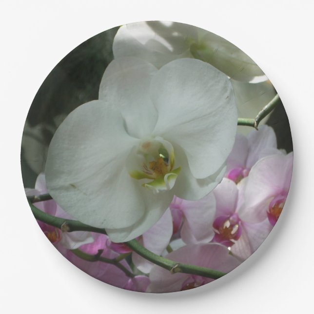 White and Purple Orchids Paper Plates (Front)