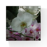 White and Purple Orchids Paperweight