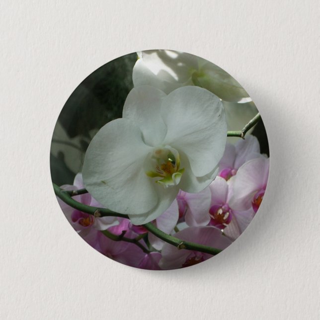 White and Purple Orchids Pinback Button (Front)