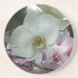 White and Purple Orchids Sandstone Coaster