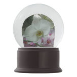 White and Purple Orchids Snow Globe