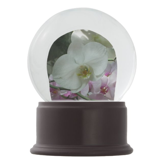 White and Purple Orchids Snow Globe (Back)