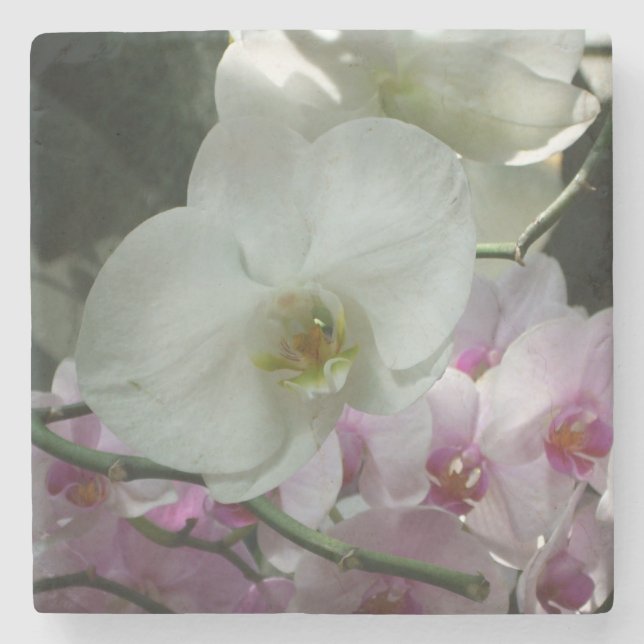 White and Purple Orchids Stone Coaster (Front)